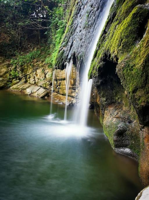 Welcome In Toscana Polcanto Bagian luar foto
