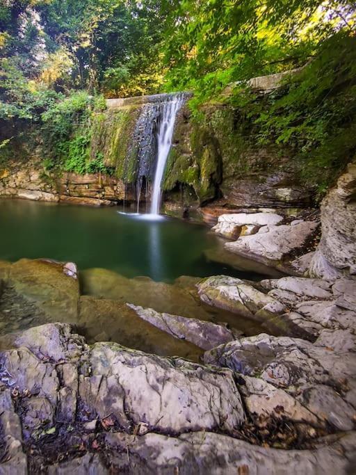 Welcome In Toscana Polcanto Bagian luar foto