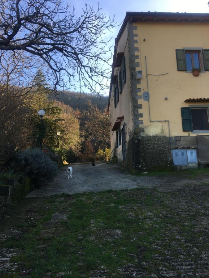 Welcome In Toscana Polcanto Bagian luar foto